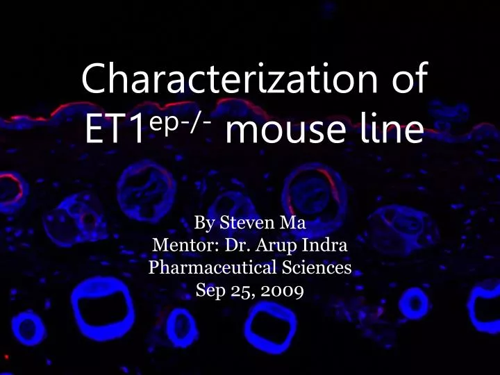 characterization of et1 ep mouse line