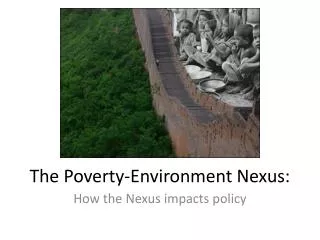 The Poverty-Environment Nexus: