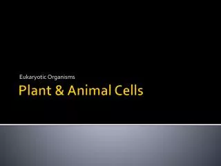 Plant &amp; Animal Cells
