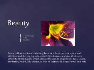 essay on outer beauty