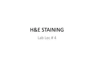 H&amp;E STAINING