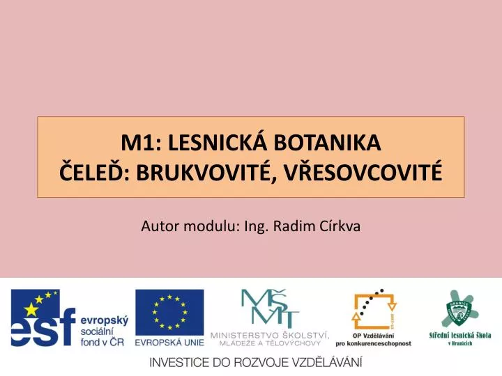 m1 lesnick botanika ele brukvovit v esovcovit