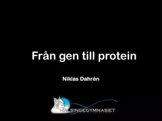 niklas dahr n