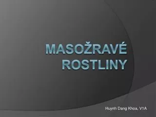 maso rav rostliny