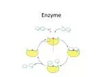 Enzyme - slide 1