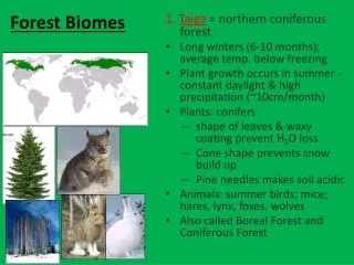 Forest Biomes