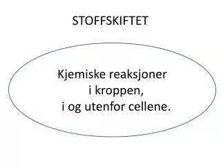 stoffskiftet