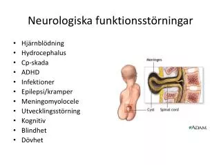 neurologiska funktionsst rningar