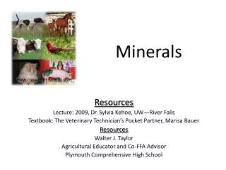 Minerals