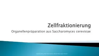 zellfraktionierung