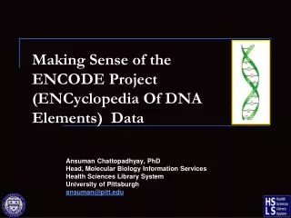 Making Sense of the ENCODE Project ( ENCyclopedia Of DNA Elements) Data