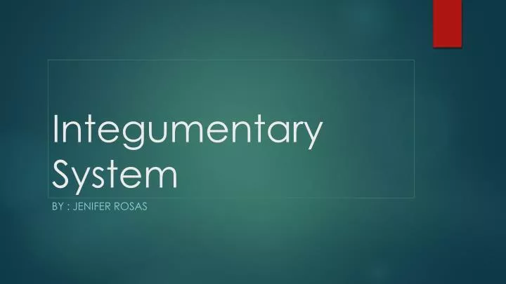 integumentary system