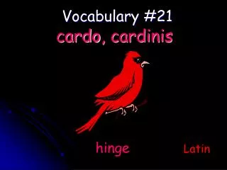 Vocabulary #21