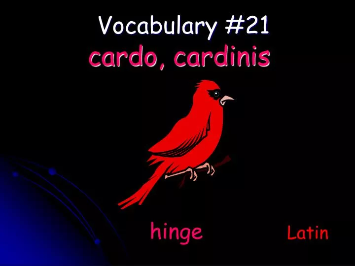 vocabulary 21