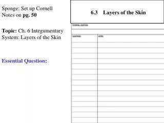 Sponge: Set up Cornell Notes on pg. 50 Topic: Ch. 6 Integumentary System: Layers of the Skin