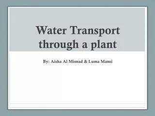 Water Transport through a plant