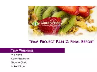 Team Project Part 2: Final Report