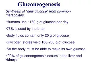 Synthesis of &quot;new glucose&quot; from common metabolites Humans use ~160 g of glucose per day
