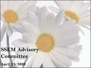 SSEM Advisory Committee April 23, 2009