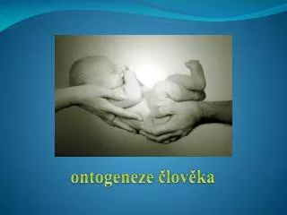 ontogeneze lov ka