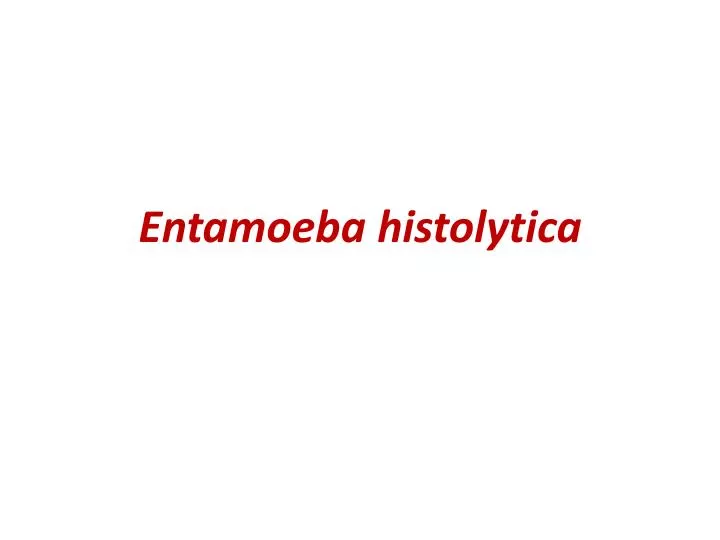 entamoeba histolytica