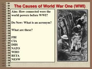 The Causes of World War One (WWI)