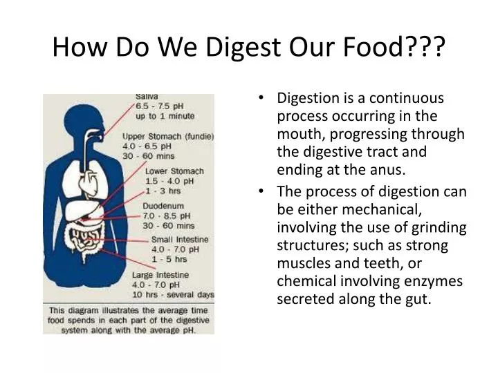 how do we digest our food
