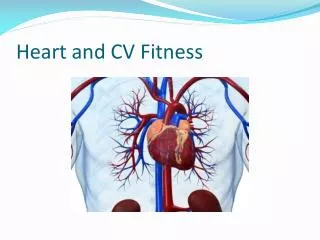 Heart and CV Fitness
