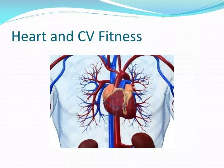 heart and cv fitness