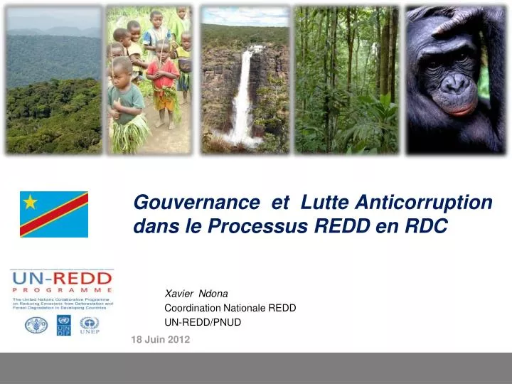 gouvernance et lutte anticorruption dans le processus redd en rdc