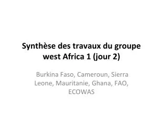 synth se des travaux du groupe west africa 1 jour 2
