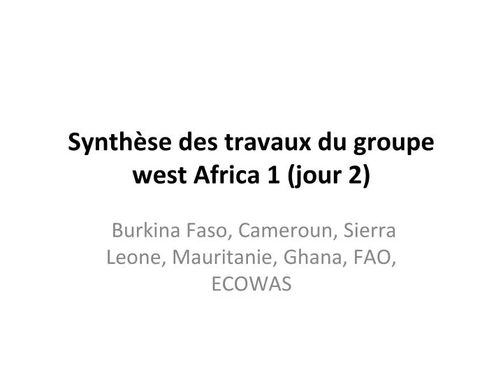 synth se des travaux du groupe west africa 1 jour 2