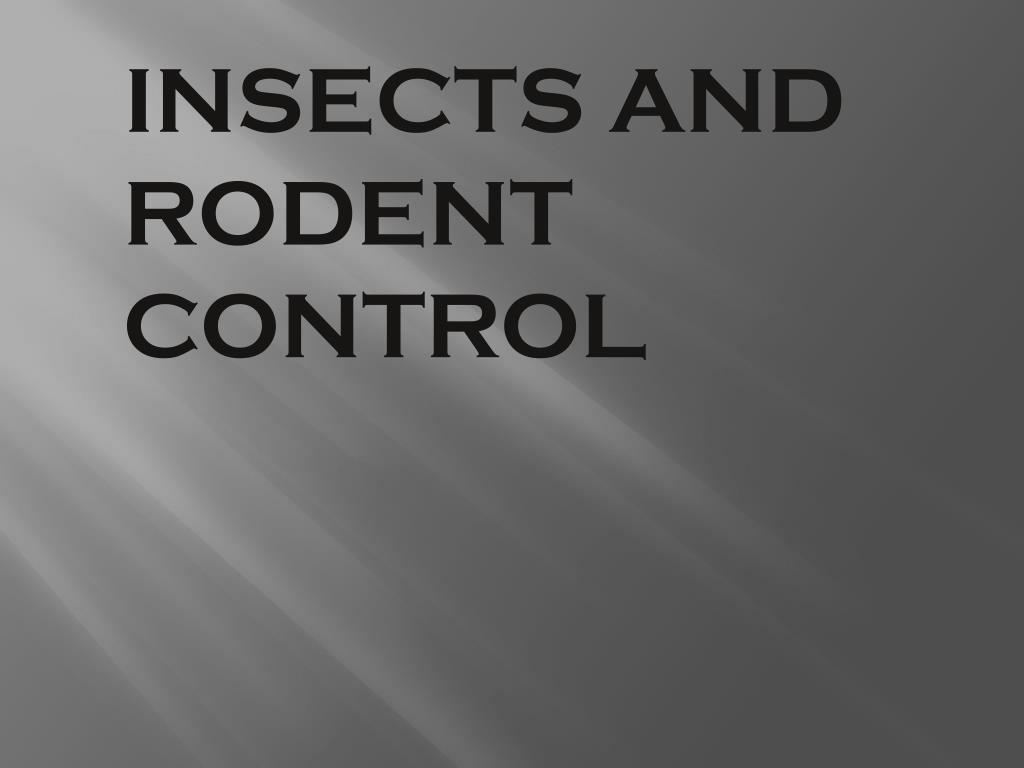 PPT - INSECTS AND RODENT CONTROL PowerPoint Presentation, free download ...