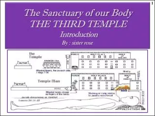 The Sanctuary of our Body THE THIRD TEMPLE Introduction By : sister rose