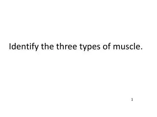 Identify the three types of muscle.