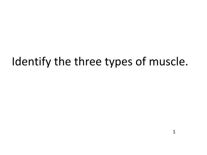 identify the three types of muscle