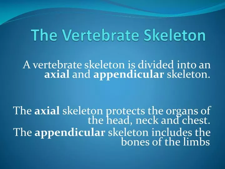 the vertebrate skeleton