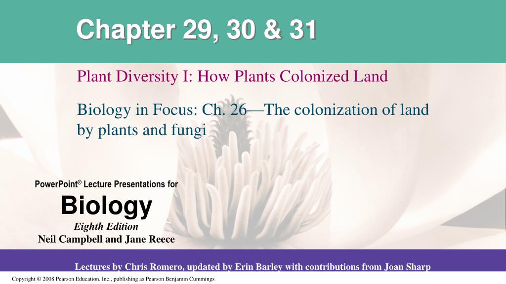 PPT - Chapter 29, 30 & 31 PowerPoint Presentation, free download - ID ...