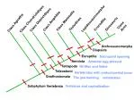 Class Agnatha - slide 1