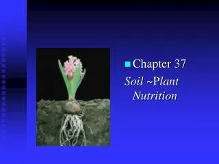 Chapter 37 Soil ~P lant Nutrition