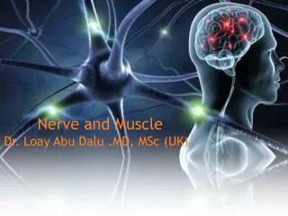 Nerve and Muscle Dr. Loay Abu Dalu .MD, MSc (UK)