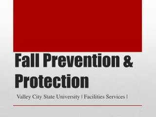 Fall Prevention &amp; Protection