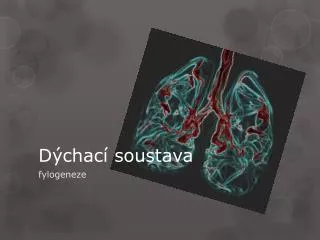 d chac soustava