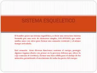 sistema esqueletico
