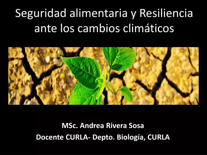 seguridad alimentaria y resiliencia ante los cambios clim ticos