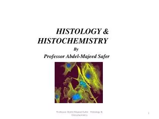 HISTOLOGY &amp; HISTOCHEMISTRY By Professor Abdel-Majeed Safer
