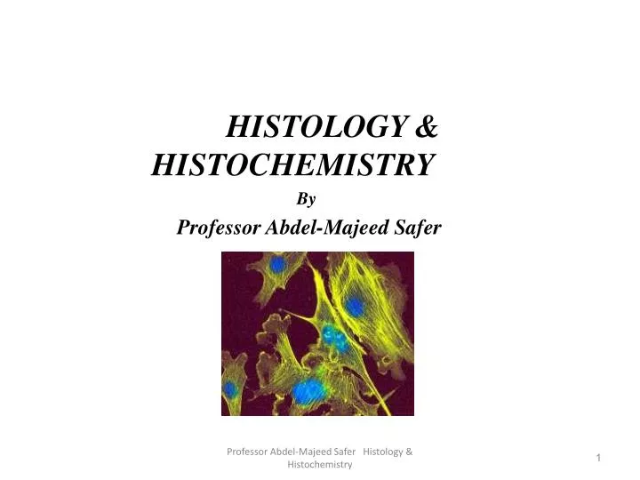 histology histochemistry by professor abdel majeed safer