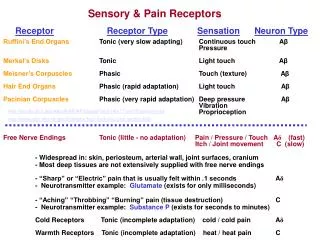 Sensory &amp; Pain Receptors