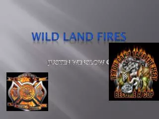 Wild land fires