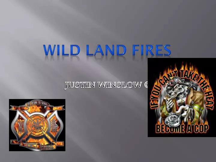 wild land fires